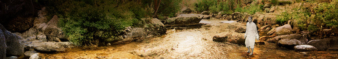 interior banner image